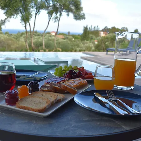 Anemeli Σπαρτιά