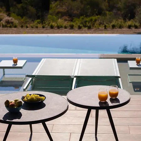 Anemeli Σπαρτιά