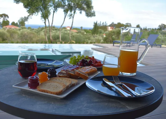 Anemeli Спартия